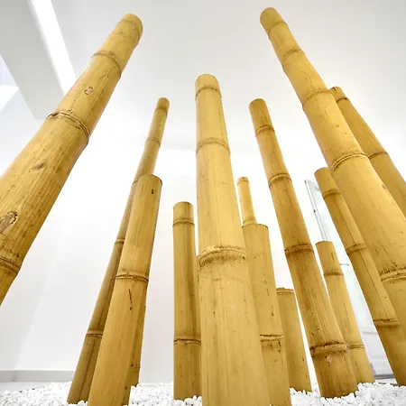 Anax Resort&spa Agios Ioannis Diakoftis